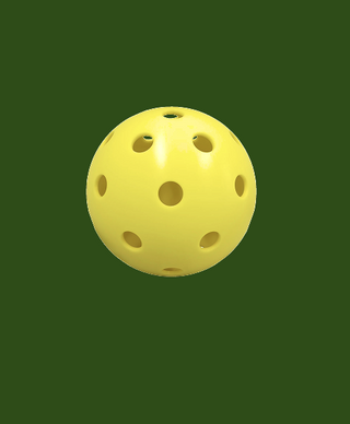 EcoShot Pickleballs